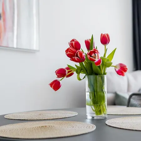 Apartamento Solymar Sun & Deluxe *
